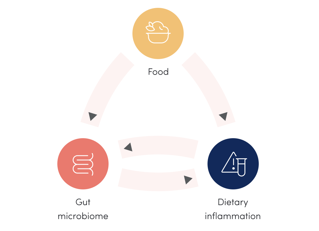 Embedding accessibility for a health monitoring app